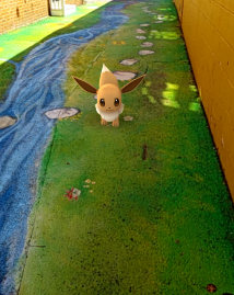 IMG_2016-07-17-15160425